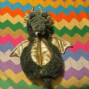 Green and Gold Dragon Costume for baby or toddler (like new)